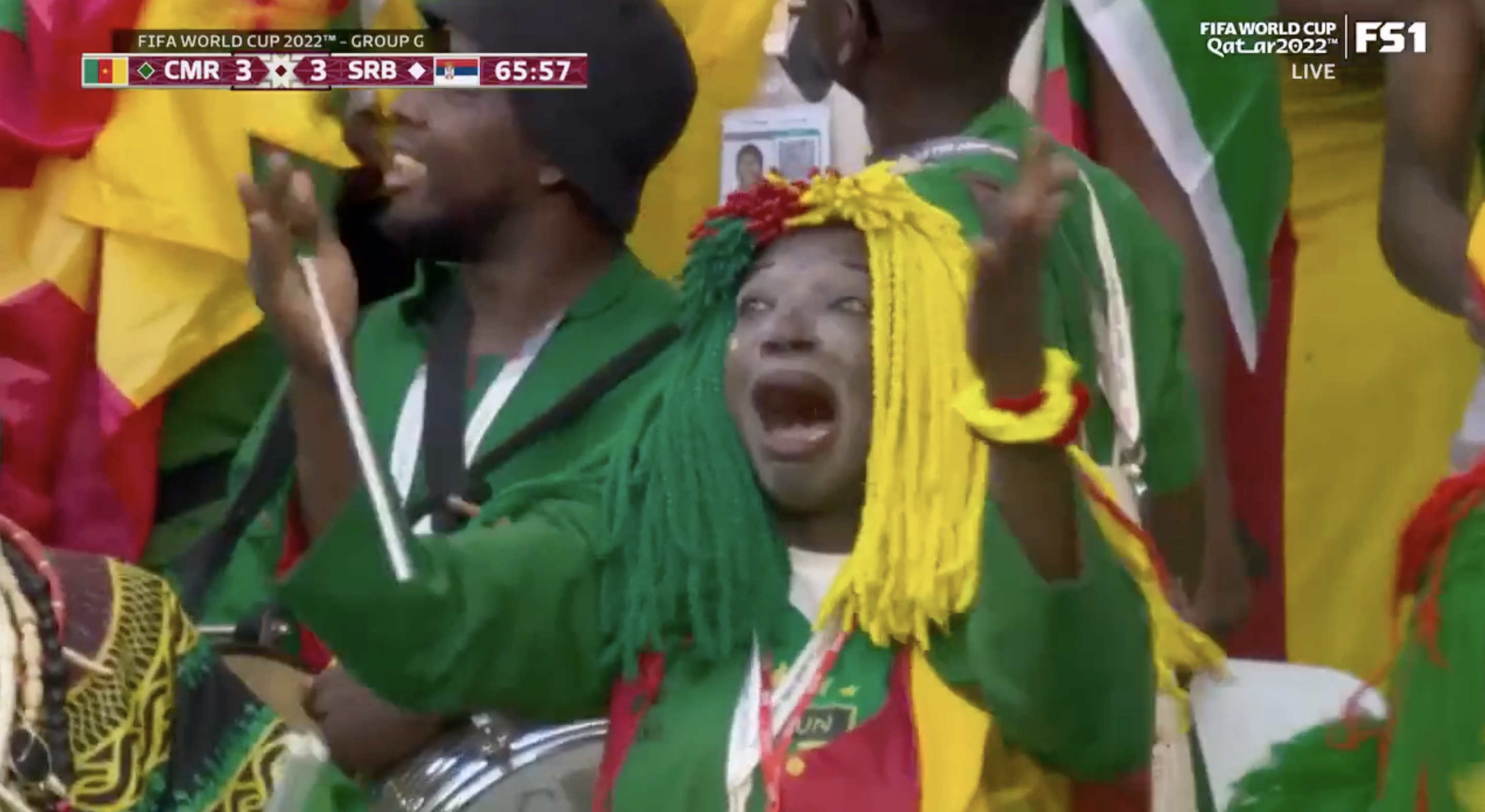 Cameroon fan celebrates goal vs. Serbia in World Cup