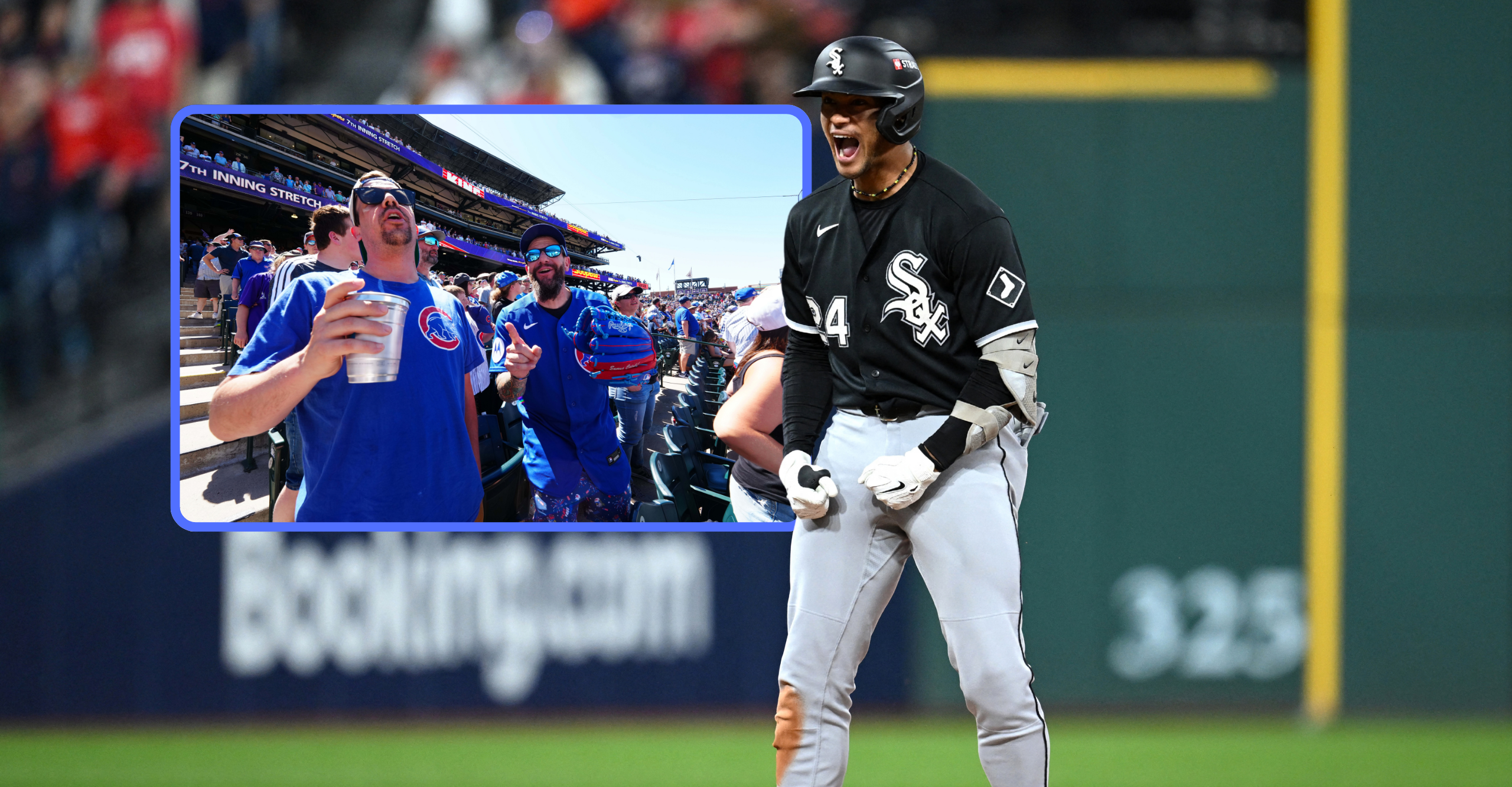 White Sox Cubs fans