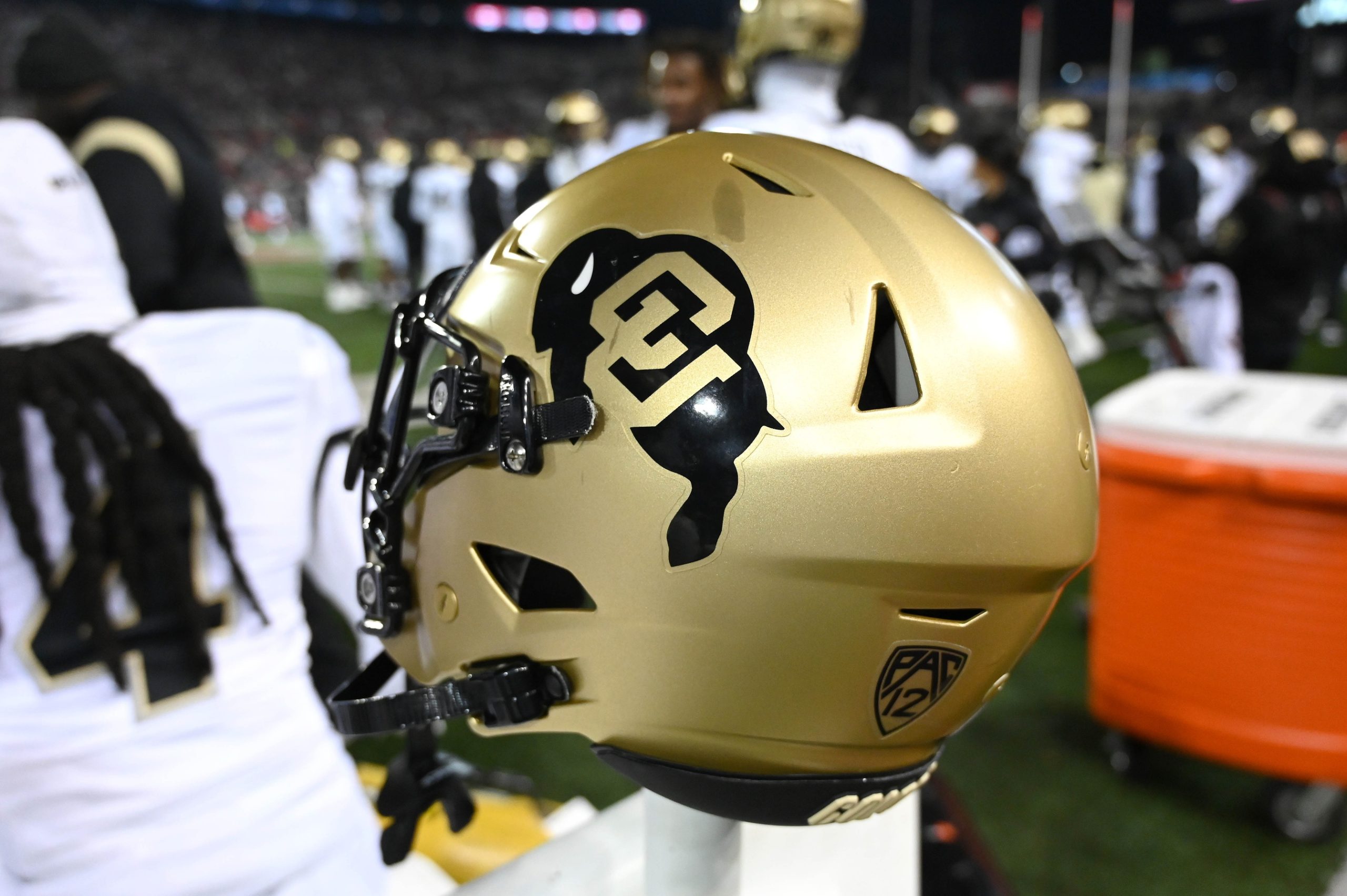 Colorado Buffaloes