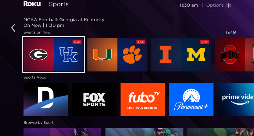 A Roku Sports experience preview graphic.