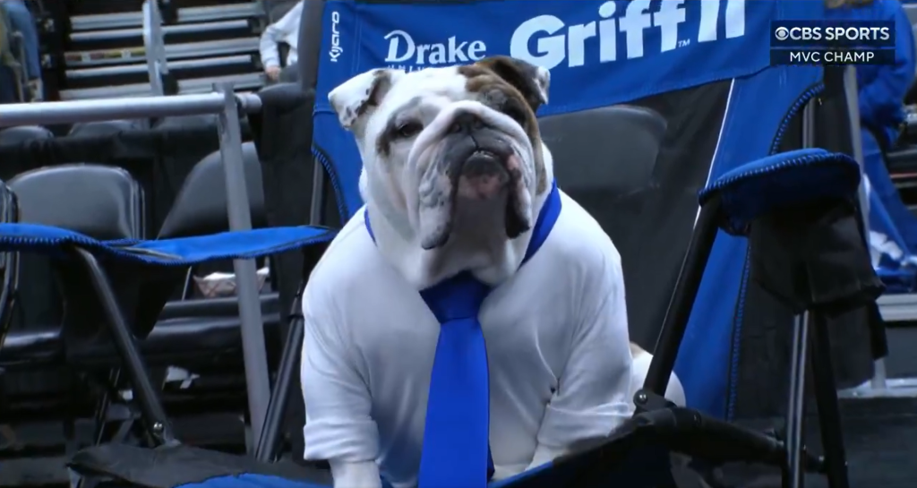 Everyone is obsessing over Drake's bulldog mascot Griff II