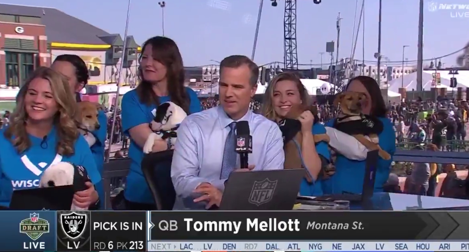 NFL Network showing up-for-adoption puppies on Day 3 of the 2025 NFL Draft.