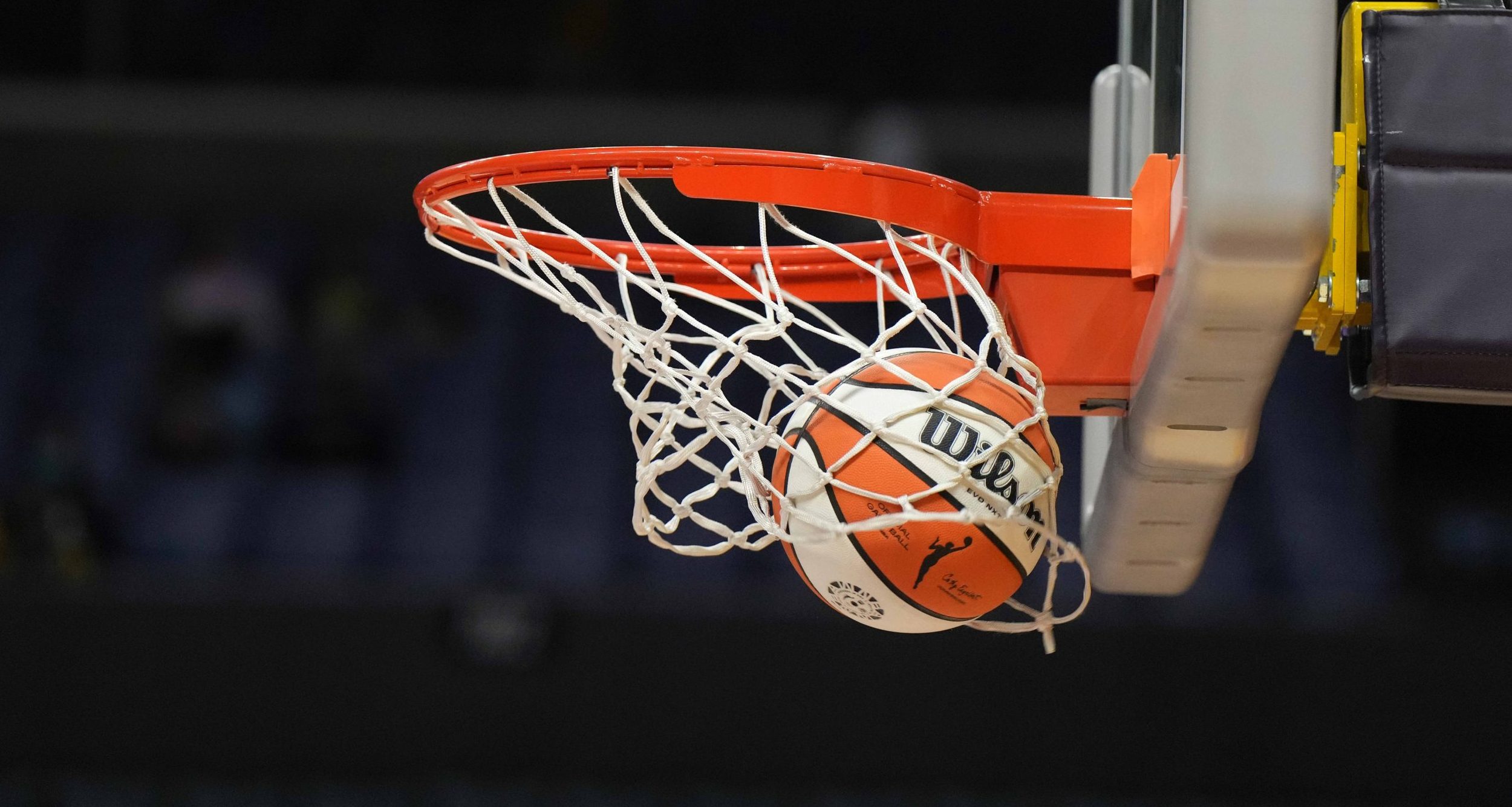 Wilson official basketball with WNBA logo