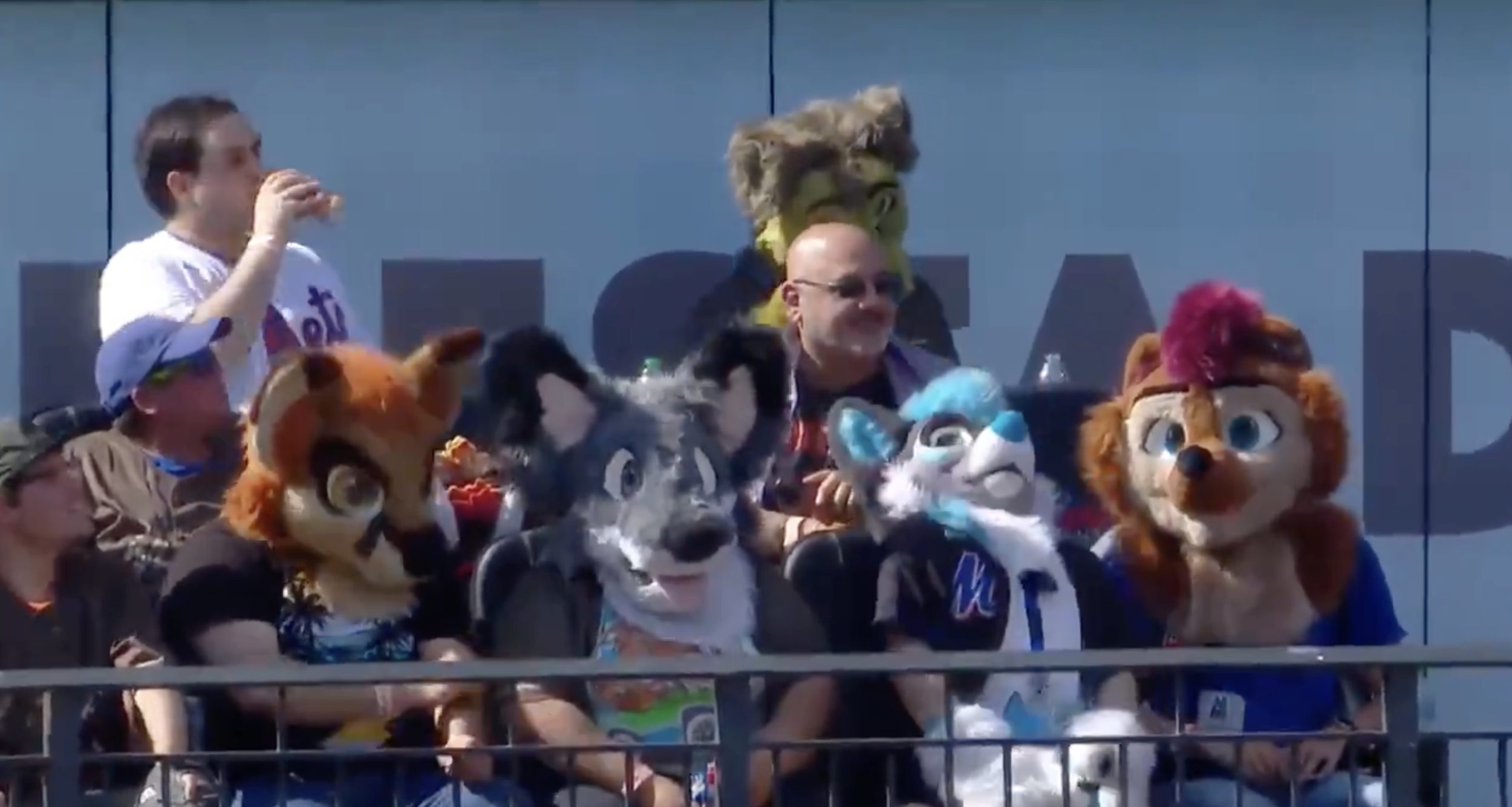 Furries at the Mets game