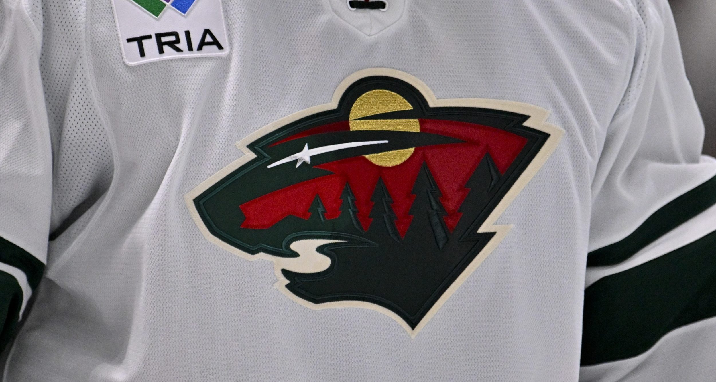 Minnesota Wild, Columbus Blue Jackets re-up with FanDuel Sports Network